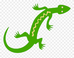 Lizard Reptile Salamander Lacertids Gecko - Lizard Clipart ...