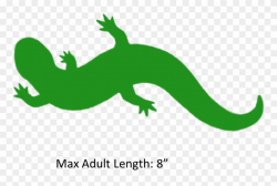 Reptile Clipart Salamander - Gecko - Png Download (#770884 ...