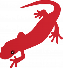 Clipart - salamander