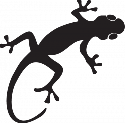 Gecko Lizard S | gecko logo | Pinterest | Geckos and Stenciling