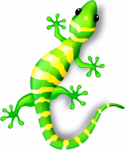 Gecko Free vector in Adobe Illustrator ai ( .AI ...