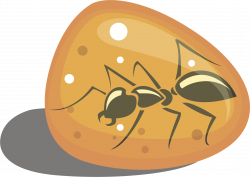 Clipart - Ant in Amber