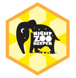 Lesson Hive - Geography | Night Zookeeper