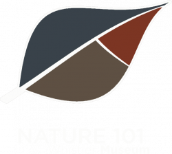 Whistler Museum, Whistler real estate: Nature 101 Training