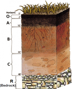 Soil Profiles And Soil Properties ~ Learning Geology
