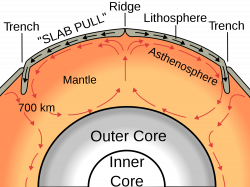 active or passive mantle lithosphere plate tectonics - Google Search ...