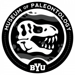 Scout Patch Activity | Museum of Paleontology