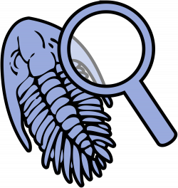 File:Trilobite under magnifying glass icon.svg - Wikimedia Commons