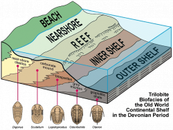 Trilobite Paleogeography