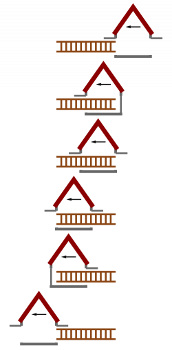 Ladder paradox - Wikiwand