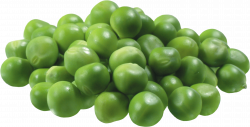 Pea PNG images free download