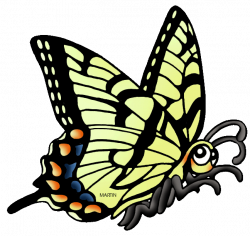 United States Clip Art by Phillip Martin, Georgia State Butterfly ...