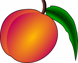 peach-vector-15.png (886×720) | Motion Graphics 2: 30 Sec Ad ...