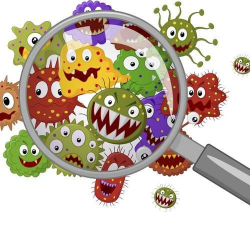 Germs, Super Germs and Antibiotic Resistance — Steemit