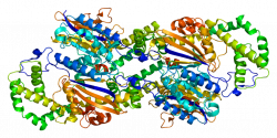 Prostatic acid phosphatase - Wikipedia