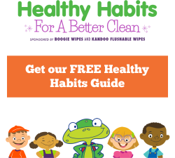 Healthy Habits - Boogie Wipes