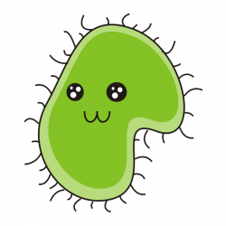 Bacteria PNG Transparent Images | PNG All