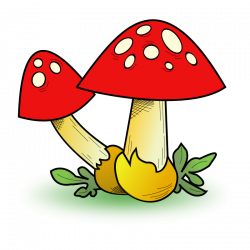 Collection of 14 free Fungian clipart fungus. Download on ubiSafe