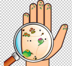 Hand Hygiene Washing Bacteria PNG, Clipart, Area, Bacteria ...