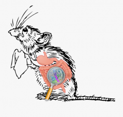 Microscope Clipart Germ - Sad Mouse Cartoon #193269 - Free ...