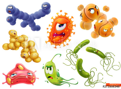 Virus, bacteria. Diplococcus, streptococcus, helicobacter ...