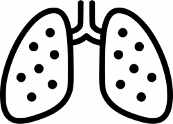 Lungs Chest X Ray Anatomy Tuberculosis Pneumonia Svg Png Icon Free ...