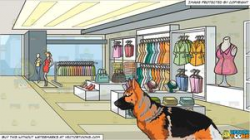 A Gentle German Shepherd and A Clothing Store For Women Background