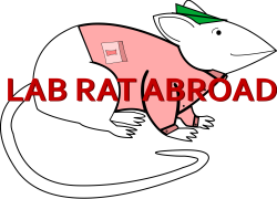 The Blog — Lab Rat Abroad