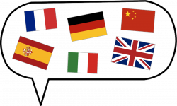 The phases of learning a foreign language | In the Euro Zone