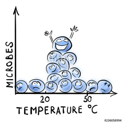 Temperature and bacterial growth