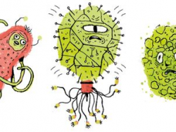 It's Catching': Children's guide to microbes also a useful ...