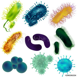 Set of viruses and bacteria isolated against a blom ...