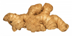 ginger png - Free PNG Images | TOPpng