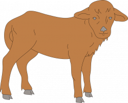 Collection of 14 free Calved clipart calf head. Download on ubiSafe