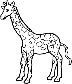SIMPLE GIRAFFE OUTLINE | Print out and color pictures of a ...