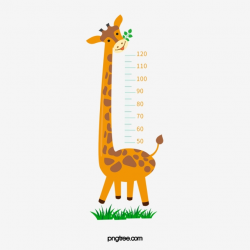 Height Png, Vector, PSD, and Clipart With Transparent ...