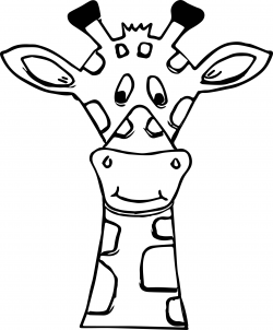 Giraffe Face Drawing at PaintingValley.com | Explore ...