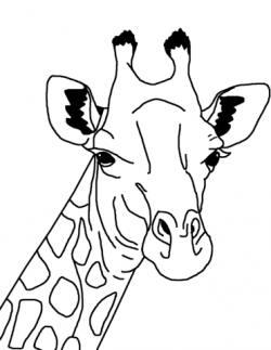 Giraffe Face coloring page | Free Printable Coloring Pages