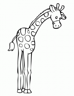 Very Tall Giraffe Coloring Page--for appliqué? template for ...