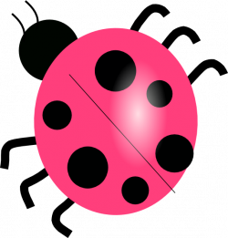 Pink Ladybug Clip Art at Clker.com - vector clip art online, royalty ...