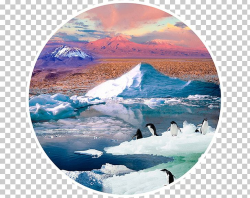 Arctic Polar Ice Cap Polar Regions Of Earth Glacier Sea Ice ...
