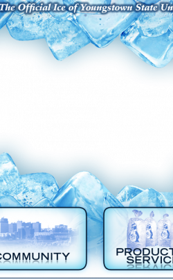Dom's Ice Products