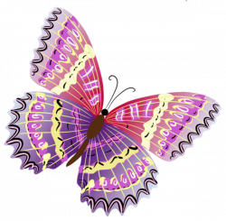 Pink and purple butterfly, pretty colors!! | butterflies | Pinterest ...