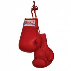 Boxing Gloves Duo transparent PNG - StickPNG