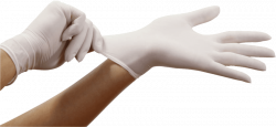 gloves on hand png - Free PNG Images | TOPpng