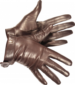 Leather gloves PNG image | Aksesoris by Adhie Ariyanto | Pinterest ...