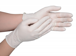 Latex Gloves — HCS