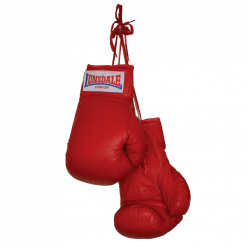 Boxing Gloves PNG Transparent Images | PNG All