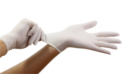 Surgical Gloves | Free Images at Clker.com - vector clip art ...