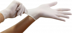 Gloves On Hand PNG Image - PurePNG | Free transparent CC0 PNG Image ...